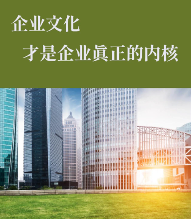 恒亿集团地产开发运营模式及项目案例详解